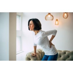 Nyre- og lndeblte i lammeskind